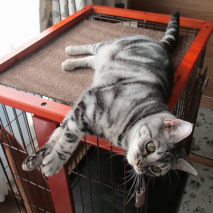 7e70e44f 3dd7 423b b866 c03d2e3cb96e 1574213013182