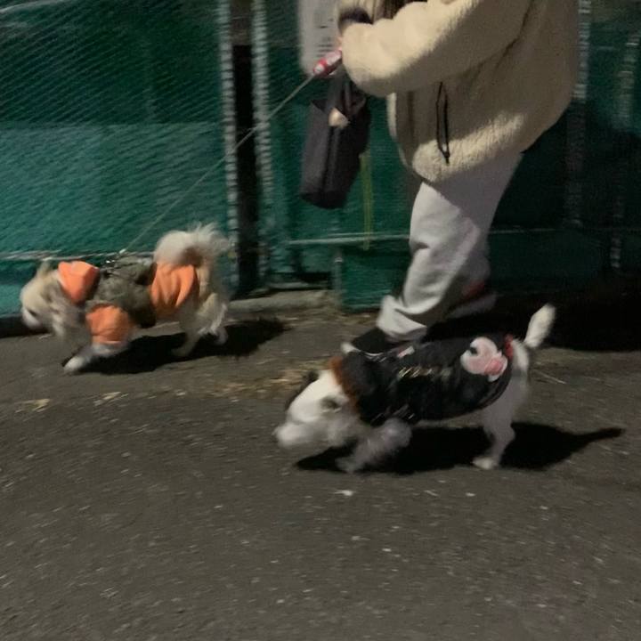 7e70eb16 9b72 41ed 8f49 4100cd0cf44d 1673353804356