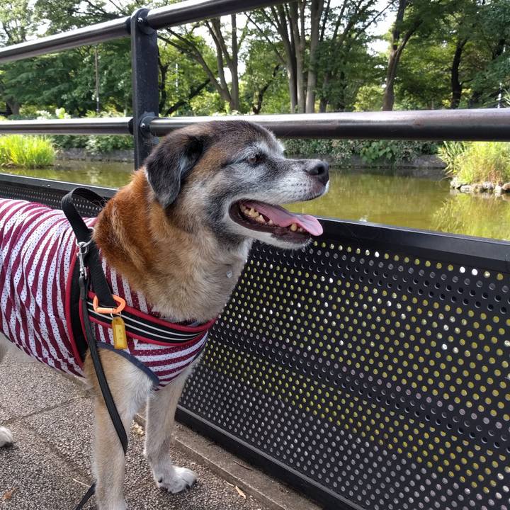 7e710510 0267 433e 969f 33b0da8e69ea 1532302452246