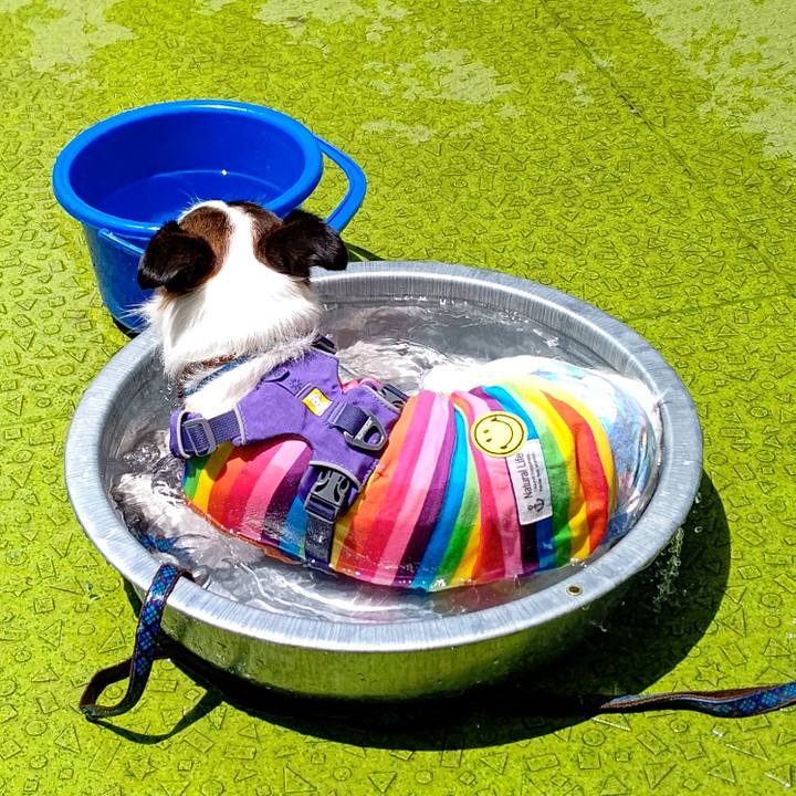 7e714529 b6ee 42a0 932a e4c735e8f5d8 1626430043068