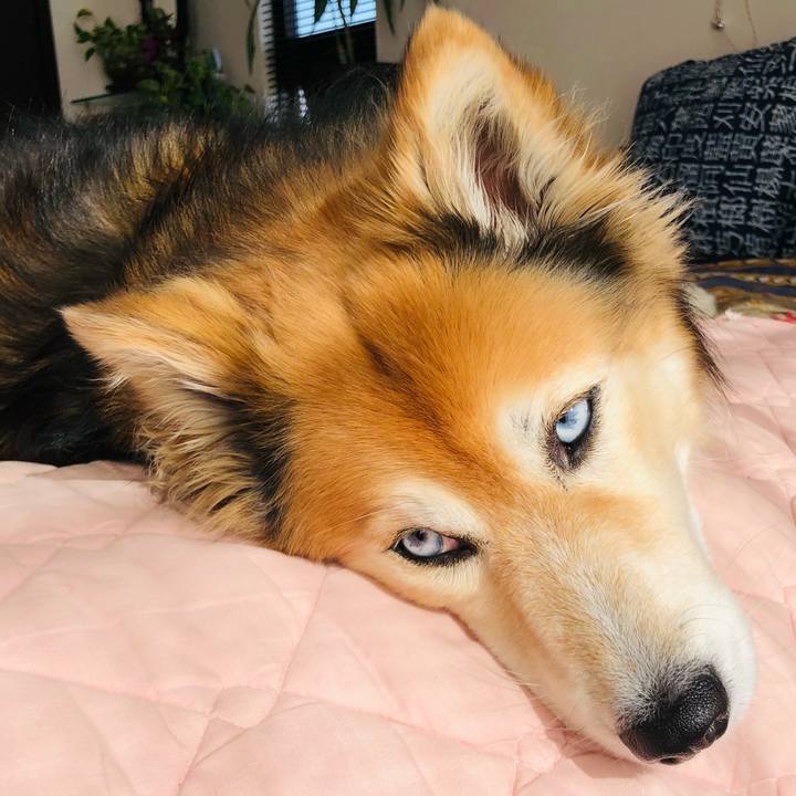 7e71519d 36b6 4acb afb7 aa63873bcff2 1613007802769