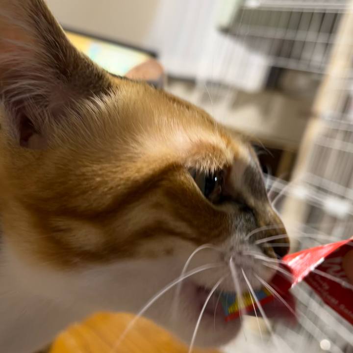 7e716b77 a41f 4118 ac31 c8154099da16 1668983616699