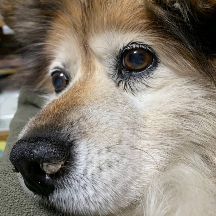 7e716da7 c7c3 4816 9054 0a8e9e6ab8bf 1617203364744