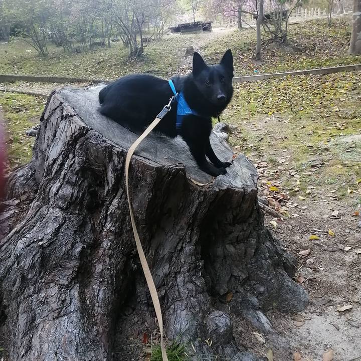 7e716dd7 219a 4e5e a271 c2689bafae99 1617957812242