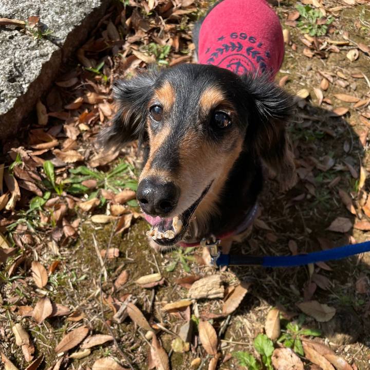 7e717a26 8e61 433b a210 f3ac2ddc8e09 1636623649878