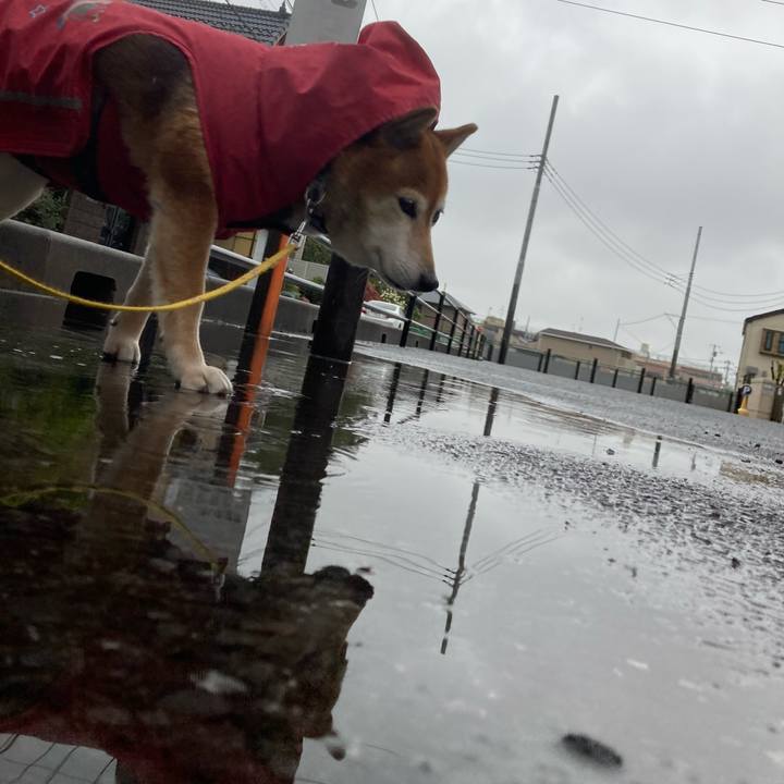 7e7181ec a609 410c 8c3f 8257c829341e 1650012239607