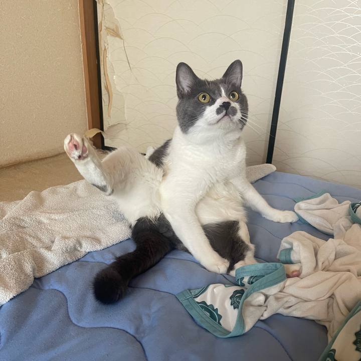 7e71a467 321b 43e6 91ff 94686be1a8ae 1723072151322