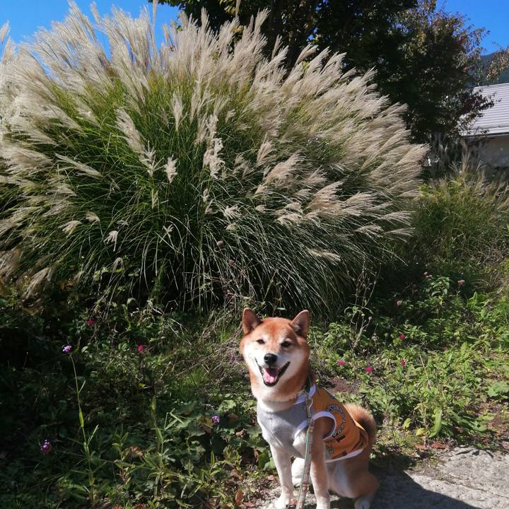 7e71b131 e3e4 4e58 af88 cc026a7aae38 1633960304795