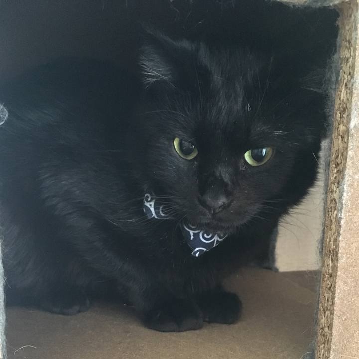 7e71d670 9bdb 457d 8e92 d87712c1405a 1546989257276