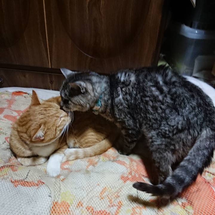 7e71f335 4b4a 46f4 910b 57d9c5a58707 1572699131963