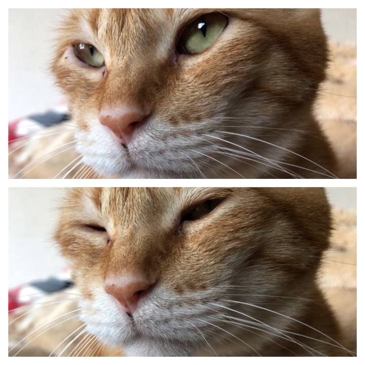 7e71f337 0837 48f1 be20 40aae8325bd0 1600152971411