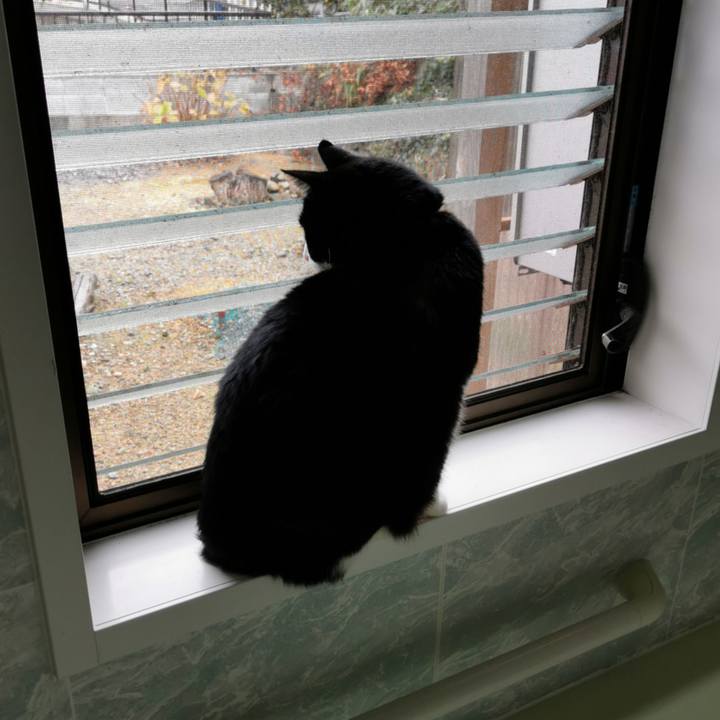 7e72077d bede 49fc 84ef 76a47d0c4429 1640844916963