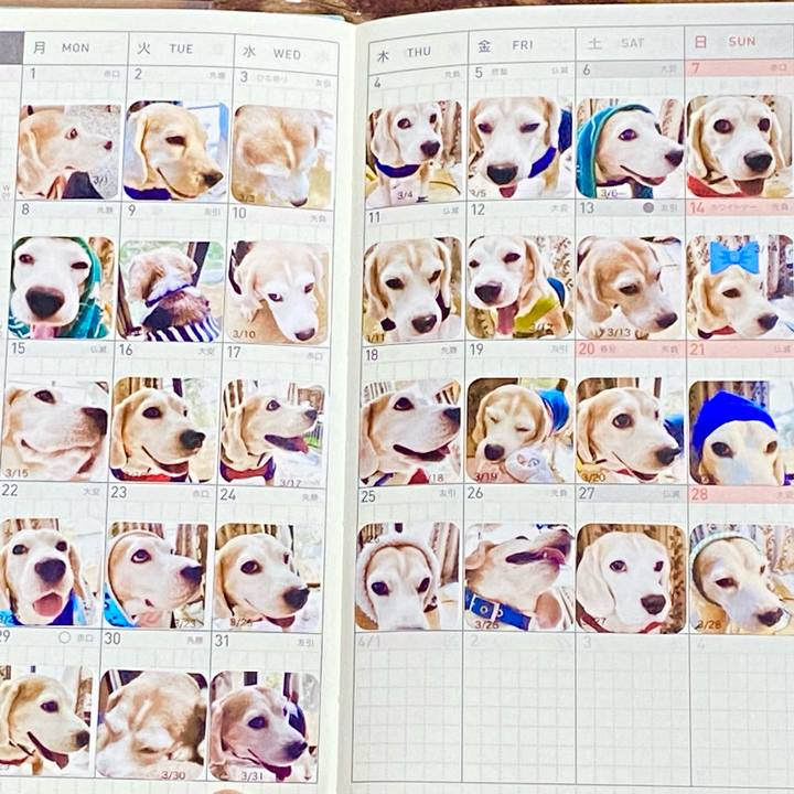 7e724169 97a1 4554 b4ca 3bbf78aaa736 1618758461342