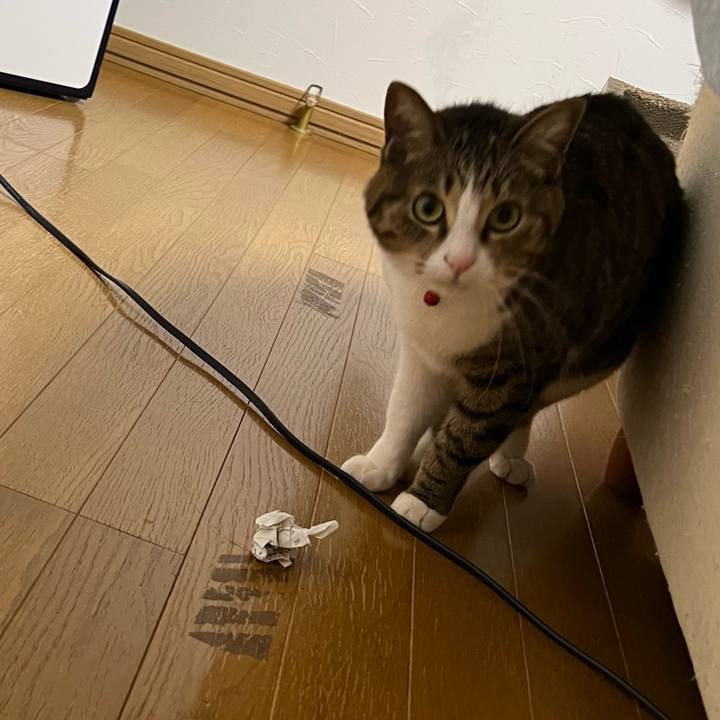 7e725777 ff4d 406c 9a30 856a904a2014 1741338805010