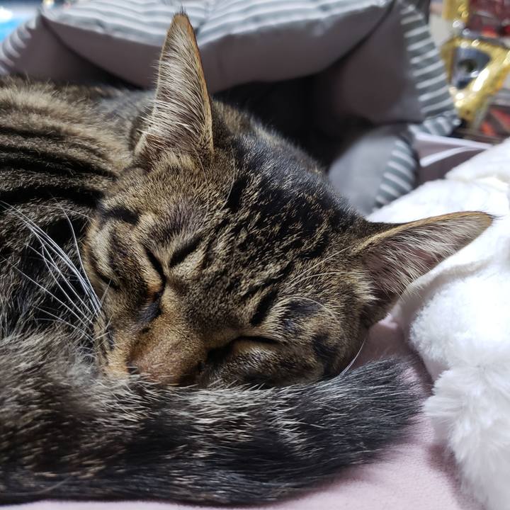 7e725ddb 8796 4bf2 b79f 7a5d98b43cae 1545209620977