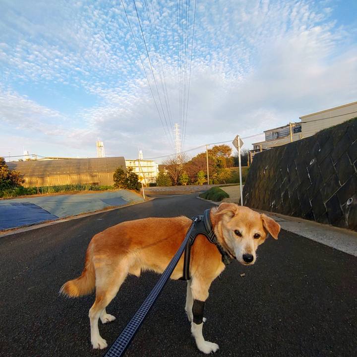 7e7269ab 47af 41f0 8b32 5d6ddd89bce6 1668146634060