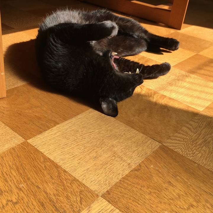 7e727512 e9c0 4ff6 85a8 f447d19feabb 1533104991751