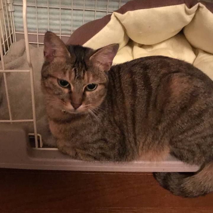 7e728b9a 8970 4f5a 8042 60689b721941 1573654791246