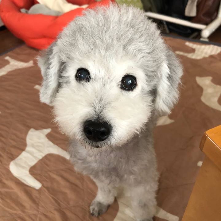 7e7290bd ae73 4e52 8bae 336c7bb5ae7d 1571617038513