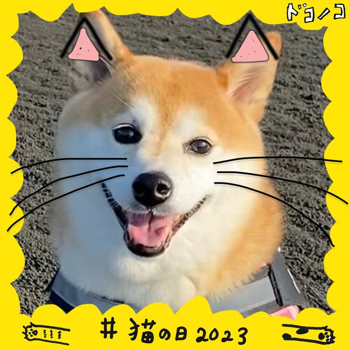 7e72c0f1 20f0 4006 84f7 bb162d10f10f 1677041075356