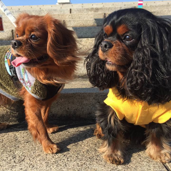 7e72dad6 a81e 4148 85ae 6aed014d9936 1518501007930