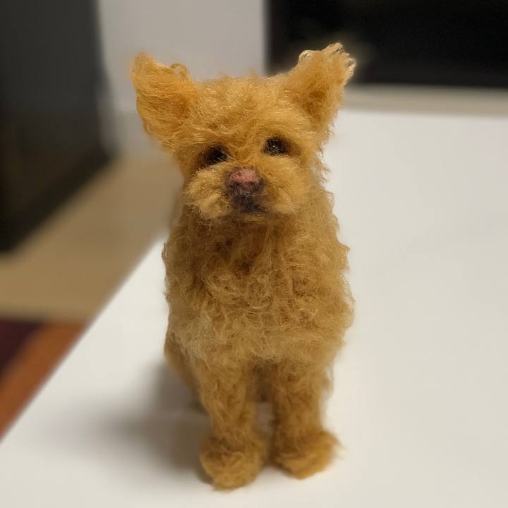 7e72db98 8d86 400f 9e6b 3c5807c50268 1564227573789