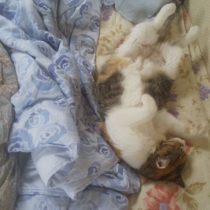 7e72e5ce 5428 406e bb7f 45f4a2b9c158 1741834435870