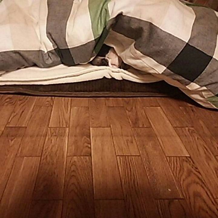 7e731eb4 2bd0 4cbf 826f 37f49ef193a1 1516023481427