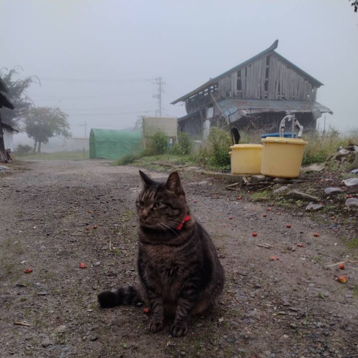 7e73227f e1b0 4b67 a793 d1e4403f9f15 1664487499593