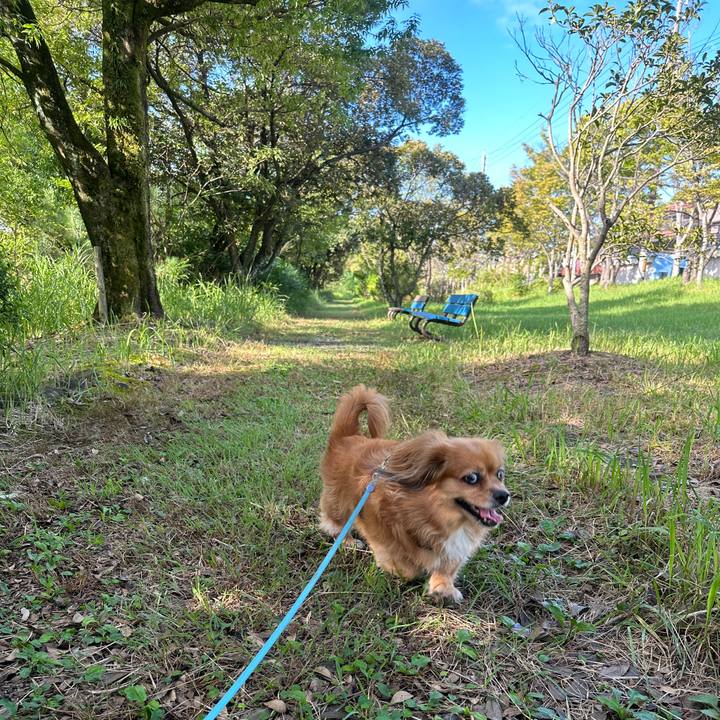 7e732b6b 5de1 498c 865e 4594e2f584bc 1694301157915