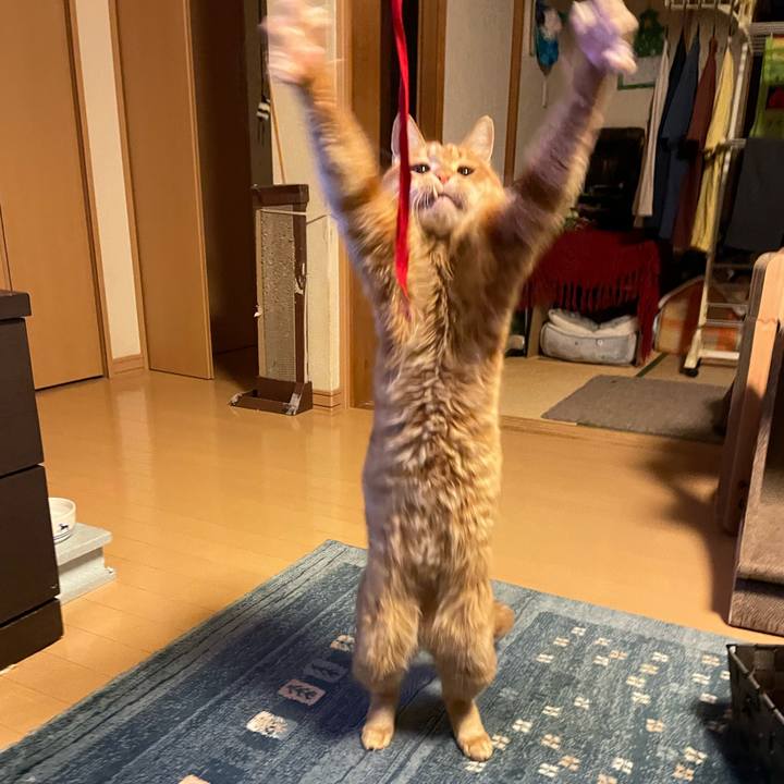 7e734982 f4b4 4502 b246 2811eb153eb5 1702208564921