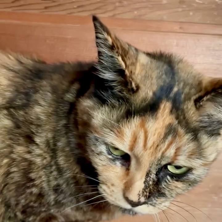 7e73a65c de3b 42ff a510 92c31035f0e0 1744686089668