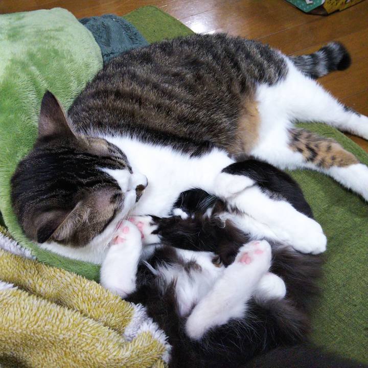 7e73f85d 3618 4a54 9431 99ffa41bdc31 1641034987038