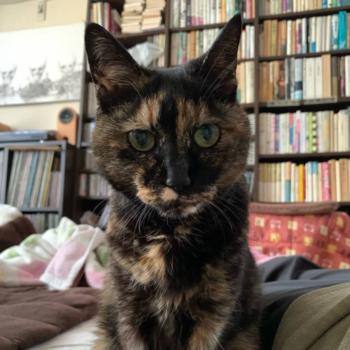 7e740479 f5e8 4d64 b6cc bbcd5b99680d 1773965209854