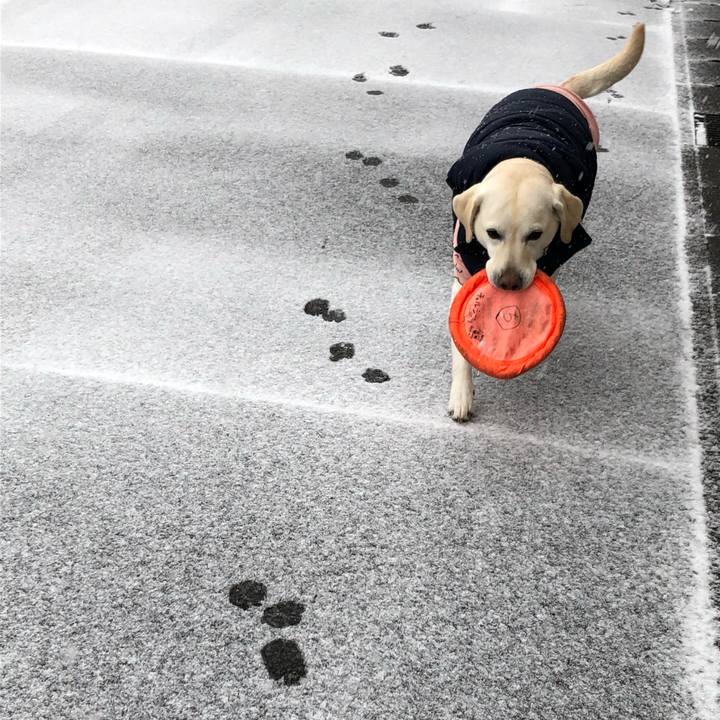 7e74f13d e246 4863 bfe8 baaca612f665 1641474663321