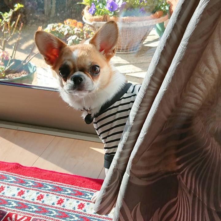 7e74fd55 8458 423f a34c 19adc2d83ef4 1553413447697