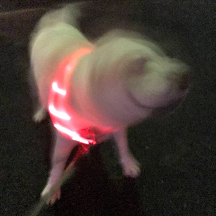 7e753048 d5c1 45a1 b7f8 97a162d8fa48 1538570537708