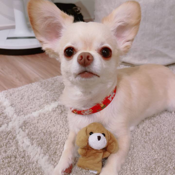 7e7532da e026 4f6c 98f1 cefcf87c524b 1757601660988