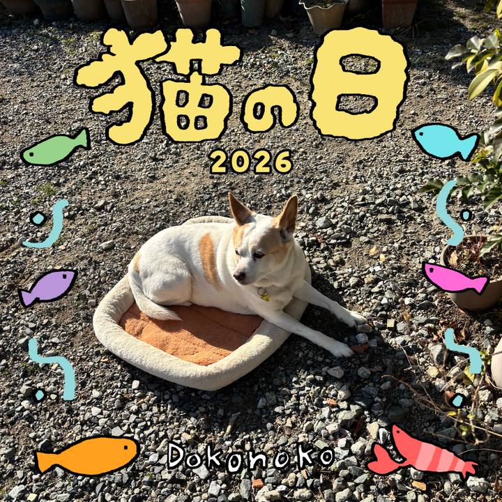 7e753b52 1967 4b88 9044 2f155e605502 1771720422457