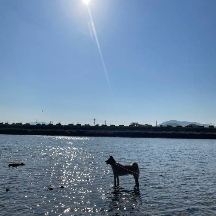 7e75a7f3 e141 4b3a a4d3 00cf293494e4 1699273128212