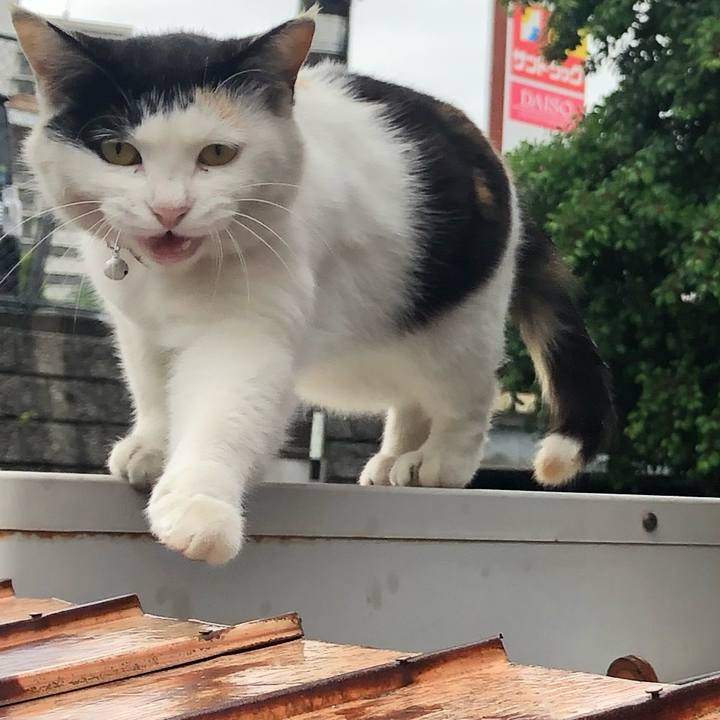 7e75eb91 b86d 44c2 b086 d997a39d5d07 1621124018211