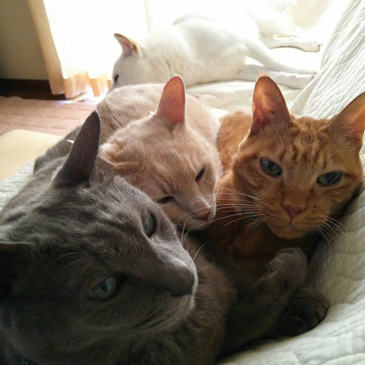 7e75f4c8 0a56 47dc 9ede 38ed4fb73ea2 1561025704279