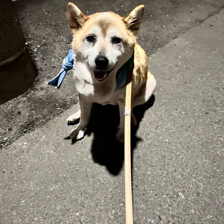 7e761f8a a383 4a59 a5d8 234a17770d37 1756035862805