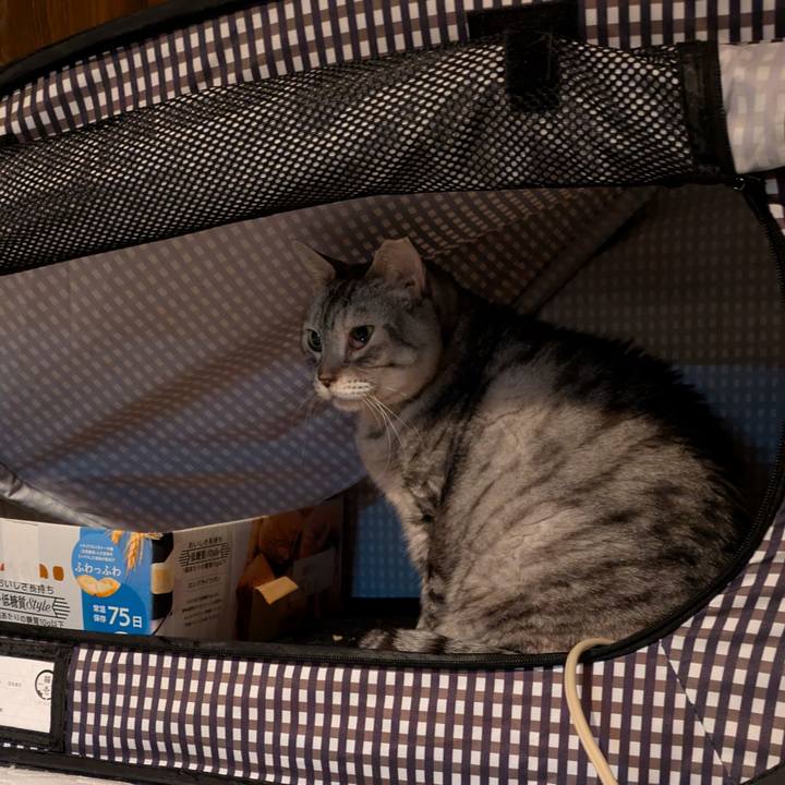 7e762275 6d2c 4325 8ec1 ab823cbf834c 1763228286224