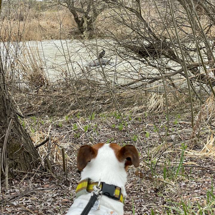 7e763622 b1aa 4dd4 b87f c868000f6599 1648542441739