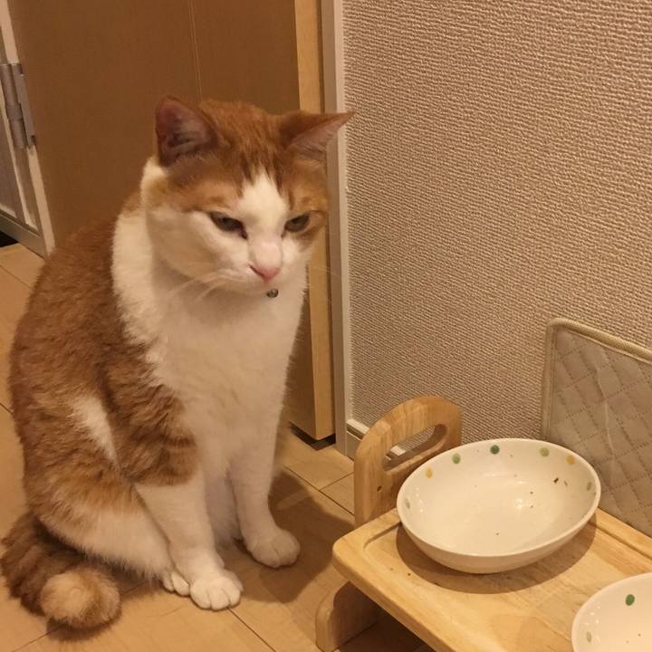 7e765403 5d51 4f62 be16 aeced0468ec5 1561469050015