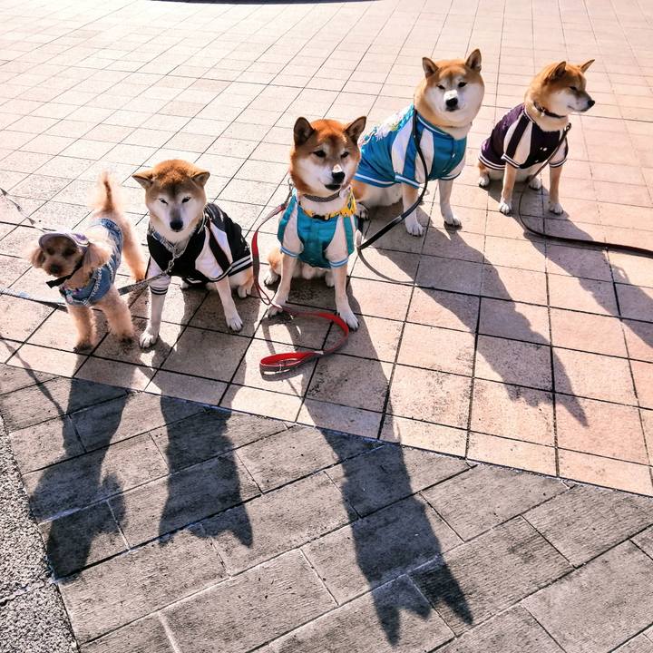 7e7663b1 20fb 4390 9c53 ababe31ebd96 1636897605719