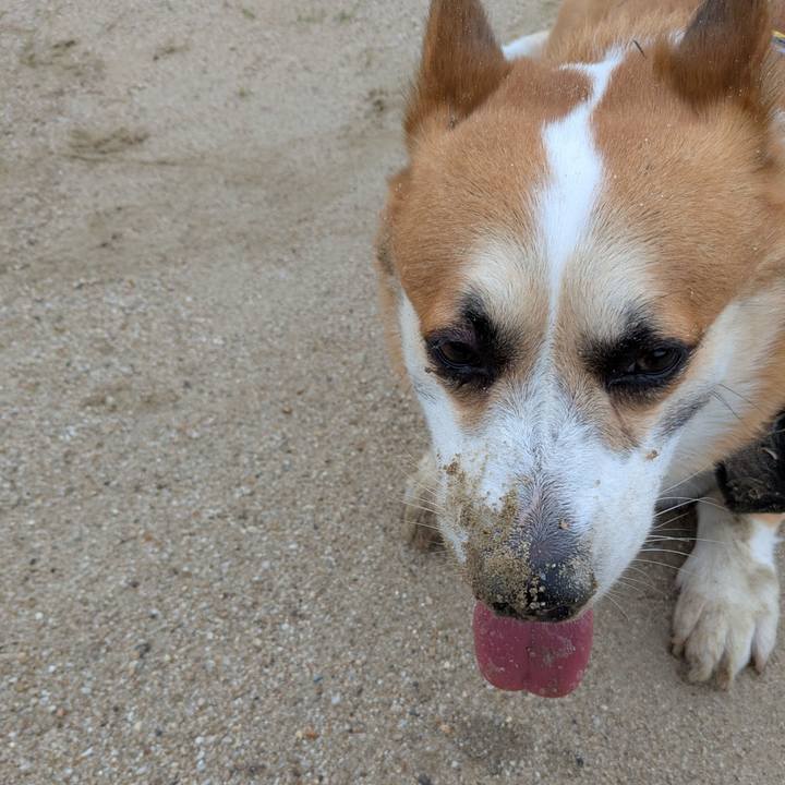 7e767621 68ac 4775 b7c9 c988b3e5a72c 1754972771523