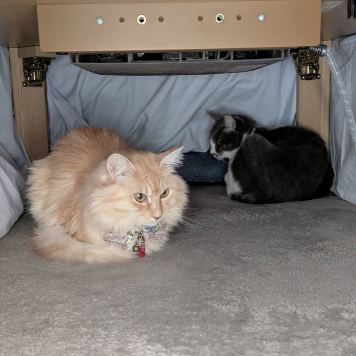 7e768eab fd82 4d7c 8d2e 4ac4d8472180 1763952252577