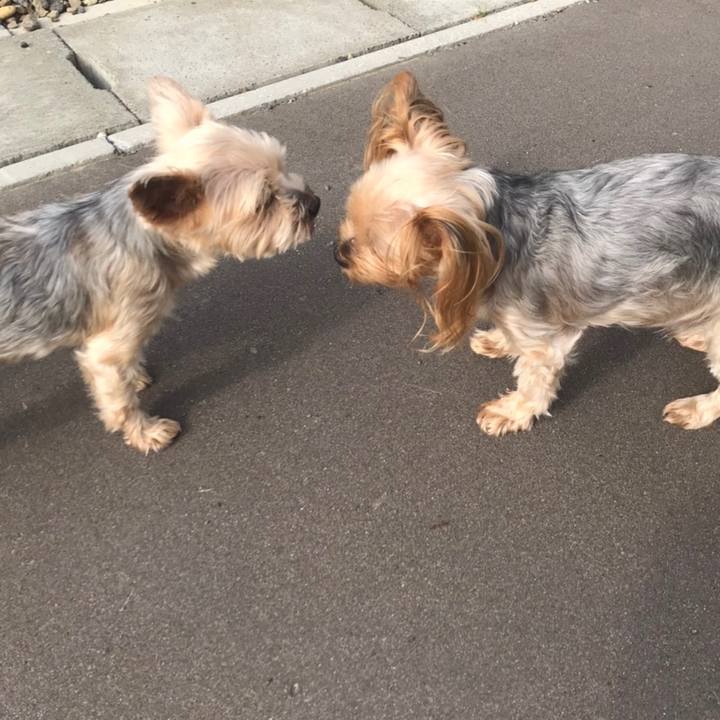 7e76acfa 1892 4019 a612 80b9b864990b 1594720871879